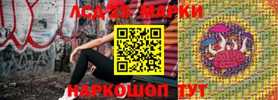 apvp Гагарин