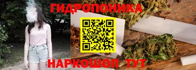 apvp Гагарин
