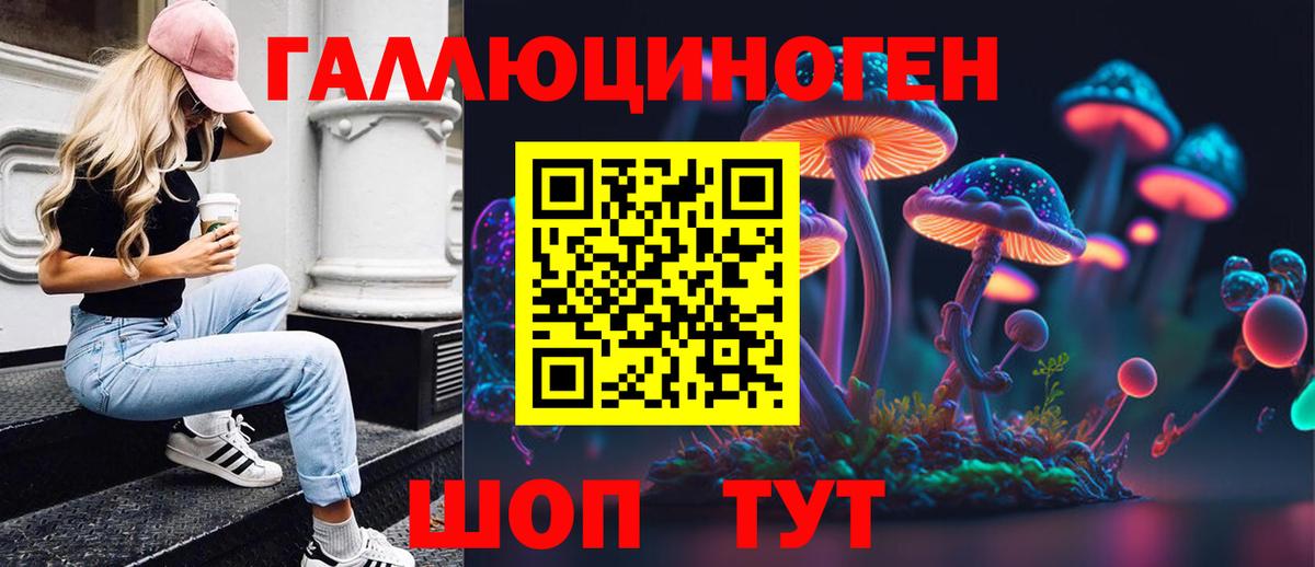 Галлюциногенные грибы GOLDEN TEACHER Карачаевск