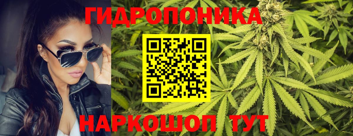 Бошки Шишки OG Kush Карачаевск